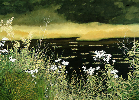 (image)