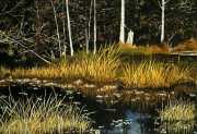 (image)