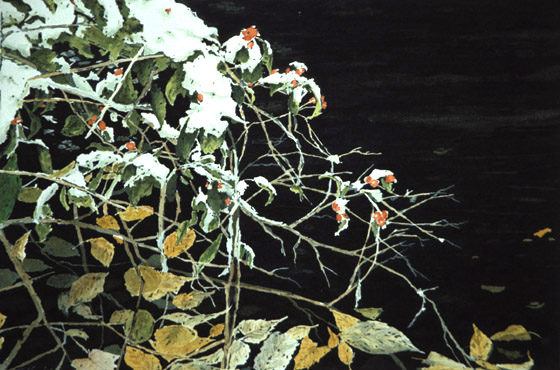 (image)