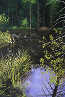 (image)