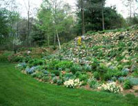 [woodland at sides and top thinned]