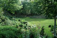 [side view with edge of vegetable garden]