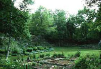 [view across the vegetable garden]