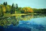 watercolors