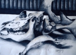 drawings