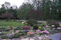 my garden in Conway