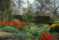 perennial plant combo photo